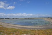 Elkhorn Slough: From Salt Ponds to Bird Sanctuary