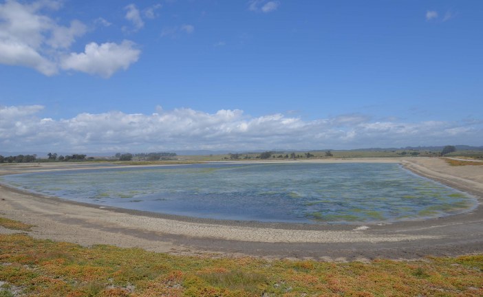 Elkhorn Slough: From Salt Ponds to Bird Sanctuary