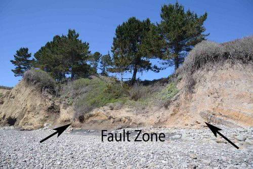 The entire zone between the two black arrows is the Frijoles Fault at A&ntilde;o Nuevo/Cove Beach. Notice that it is a "zone" about 70 feet wide. To find it when you go to our A&ntilde;o Nuevo/Cove Beach stop, look for the trees and the slumped area. If you see the dark tilted layer in the cliffs, above the right-most arrow, you know you have found the fault. Image: Julia Gaudinski/Mobile Ranger