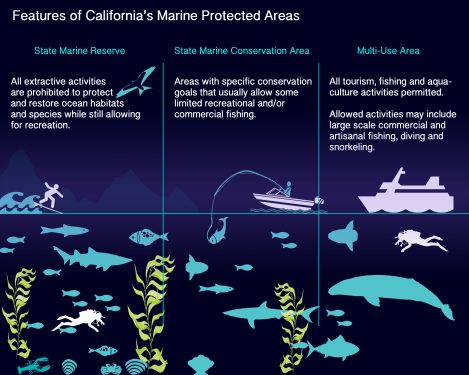 Image: Courtesy California Marine Sanctuary Foundation