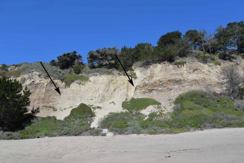 These cliffs at Greyhound beach clearly show fault movement. The two black arrows point to the most obvious places where rocks have slid past each other. There are likely two other faults in this area two but they are a bit harder to see. Image: Julia Gaudinski/Mobile Ranger