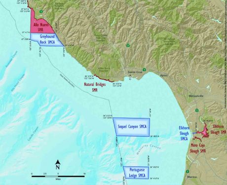 The MPAs in Santa Cruz County. Image: California Marine Sanctuary Foundation 