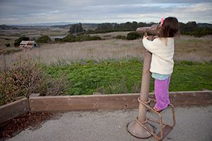 The view from the overlook at the research reserve. Photo: Elkhorn Slough National Estuarine Research Reserve
