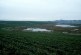 Managing a Strawberry Farm and Protecting the Elkhorn Slough