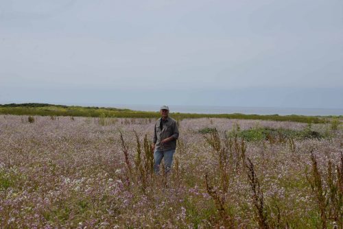 Geologist Gerald Weber standing in the field where El Point Nuclear Power Plant was to have been built.  Photo: Julia Gaudinski/Mobile Ranger