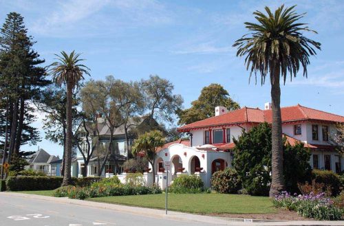 Two Canary Island Date palms on the edges of the Darling House along West Cliff Drive. Photo: Julia Gaudinski/Mobile Ranger 