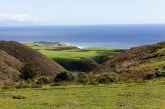 The History of Dairy in Santa Cruz