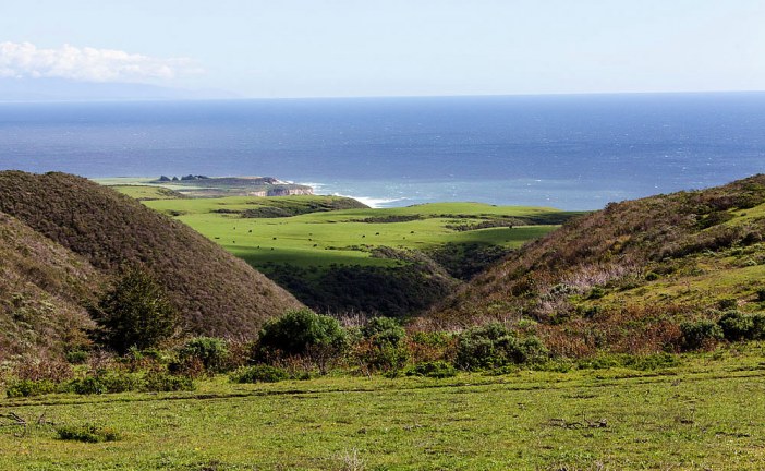 The History of Dairy in Santa Cruz