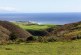 The History of Dairy in Santa Cruz