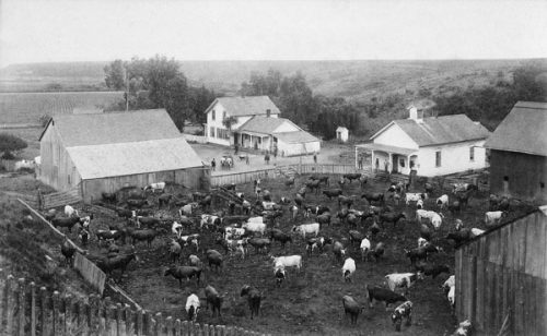 L. K. Baldwin Dairy Ranch circa 1847. Baldwin was a county supervisor and president of the Santa Cruz City Bank. Photo: Santa Cruz City Museum of Natural History